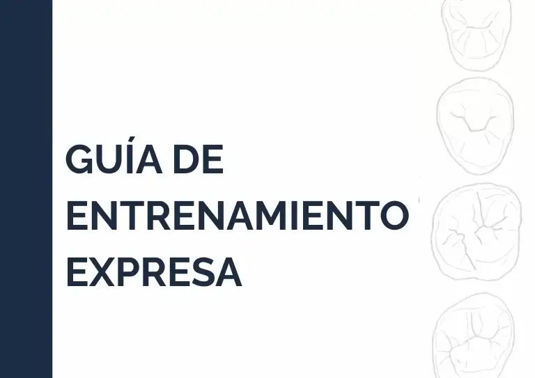 Bono #2 – Guía de Entrenamiento Exprés