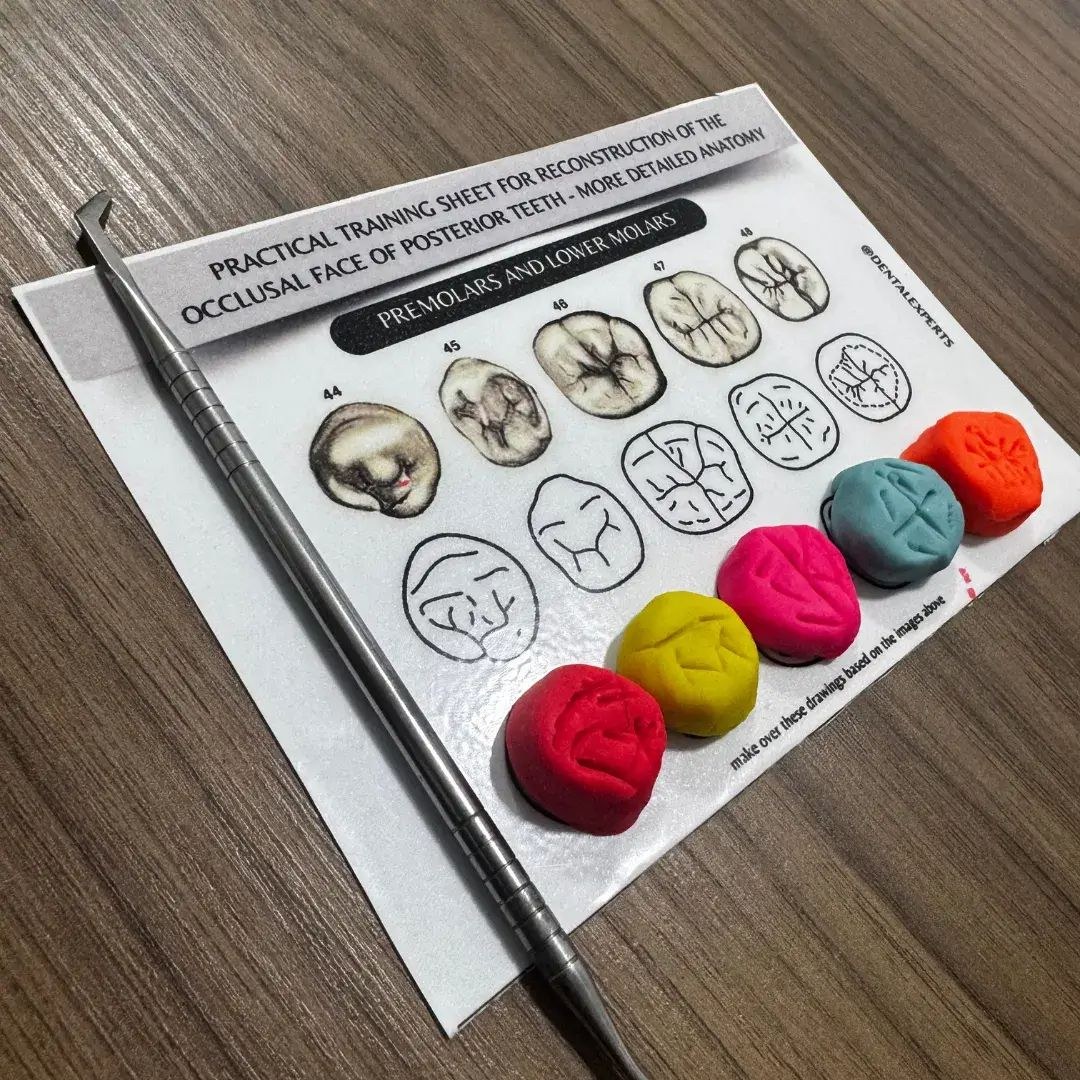 Sculpt Master Method 1
